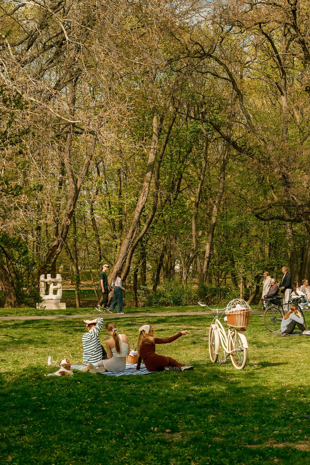 family enjoying picnic in park